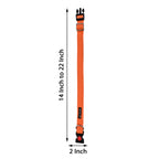 Collars for dog - Orange