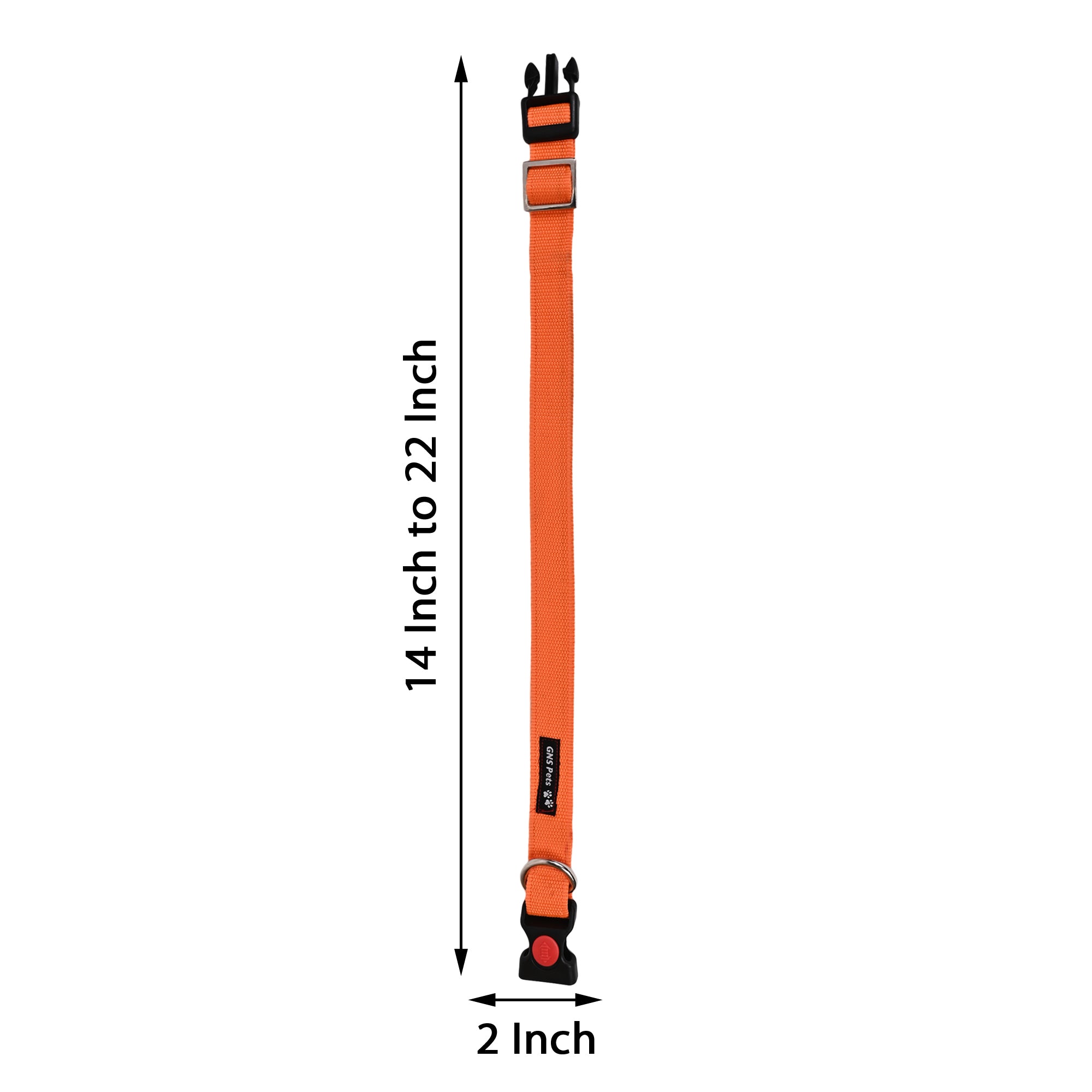 Collars for dog - Orange