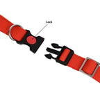 Collars for dog - Red