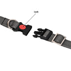 Collars for dog -Grey