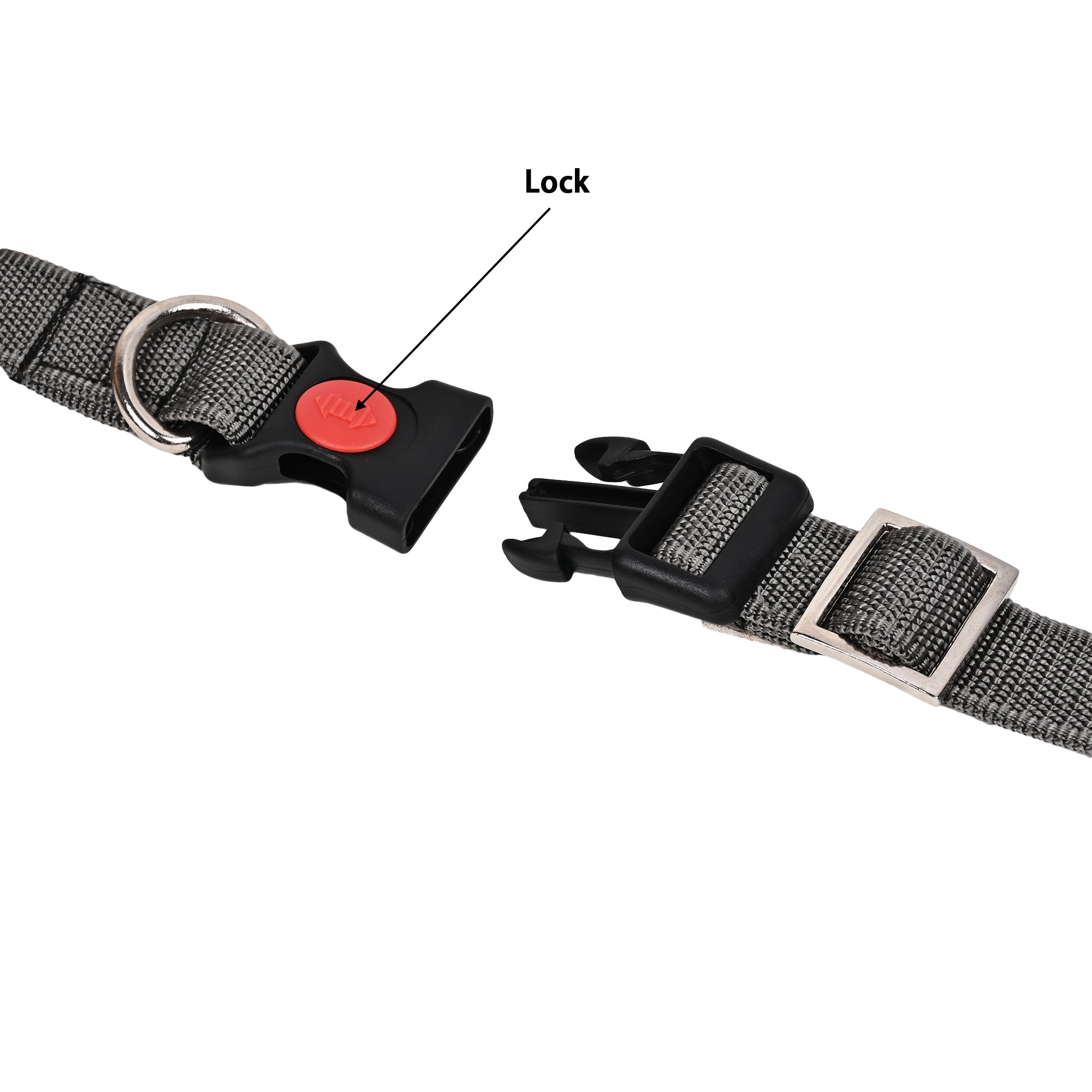 Collars for dog -Grey