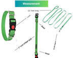 Dog Leash & Collar Set - 15FT- Green