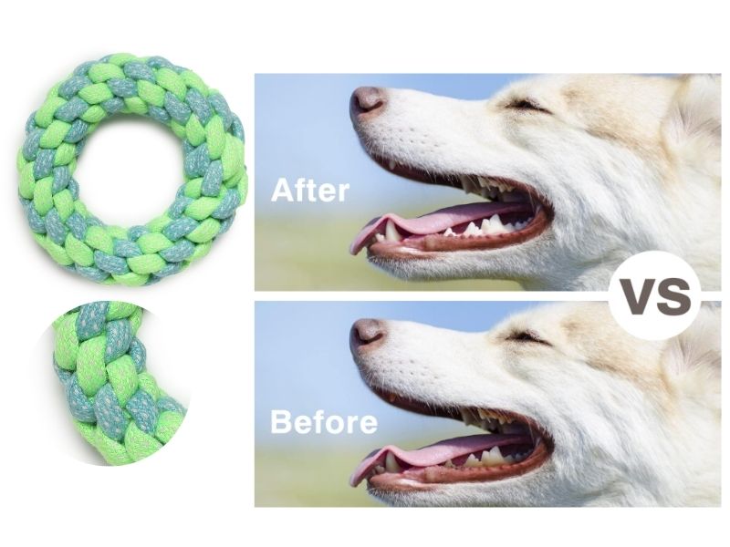 Durable Ring Rope Dog Toy – Interactive Chew & Tug Toy for Dogs | Teeth Cleaning & Fun Play