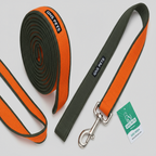 6 Feet Dog Leash - Orange