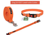 Dog Leash & Collar Set - 15FT- Orange