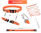 Dog Leash & Collar Set - 15FT- Orange