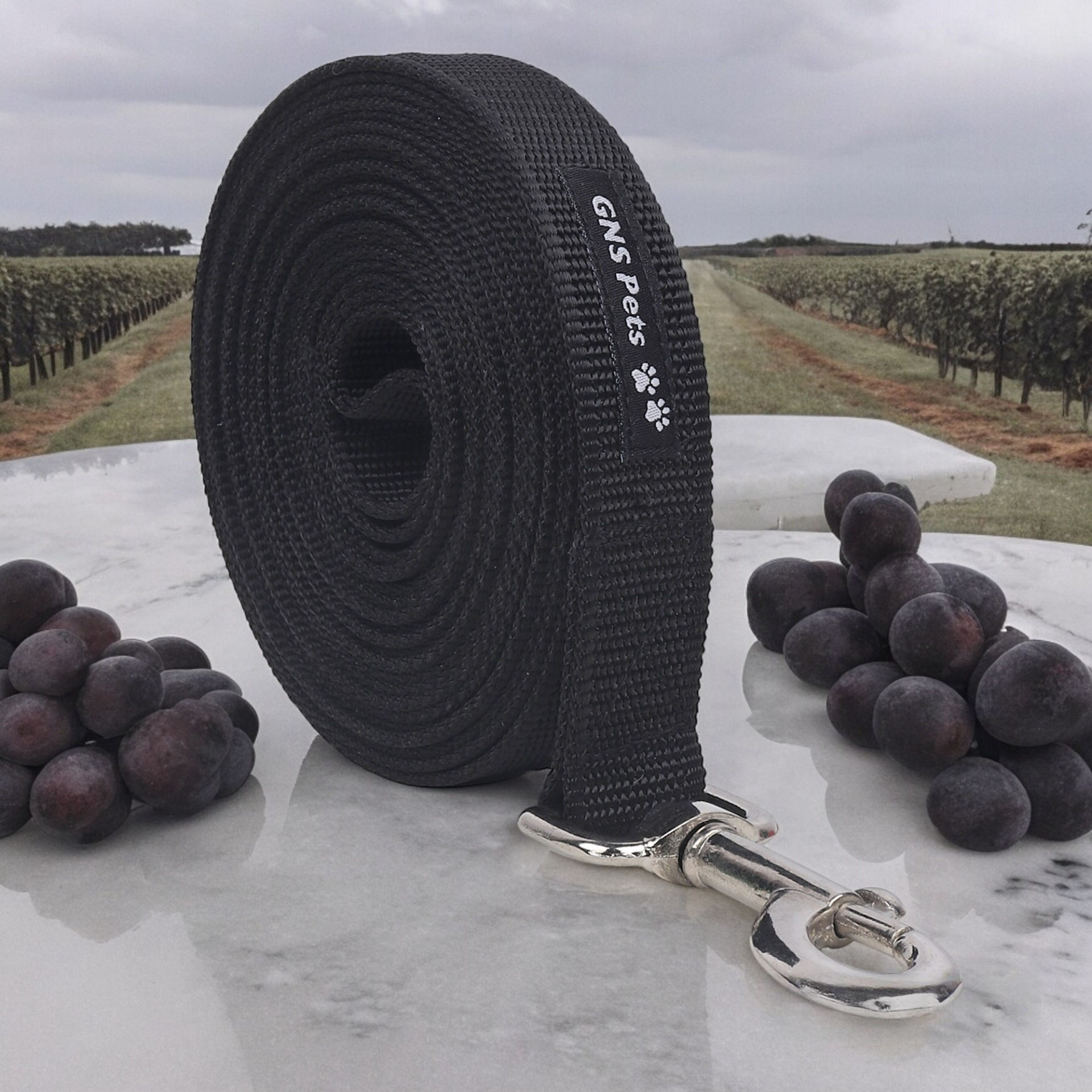 Dog Leash- 5.5 Feet- Black