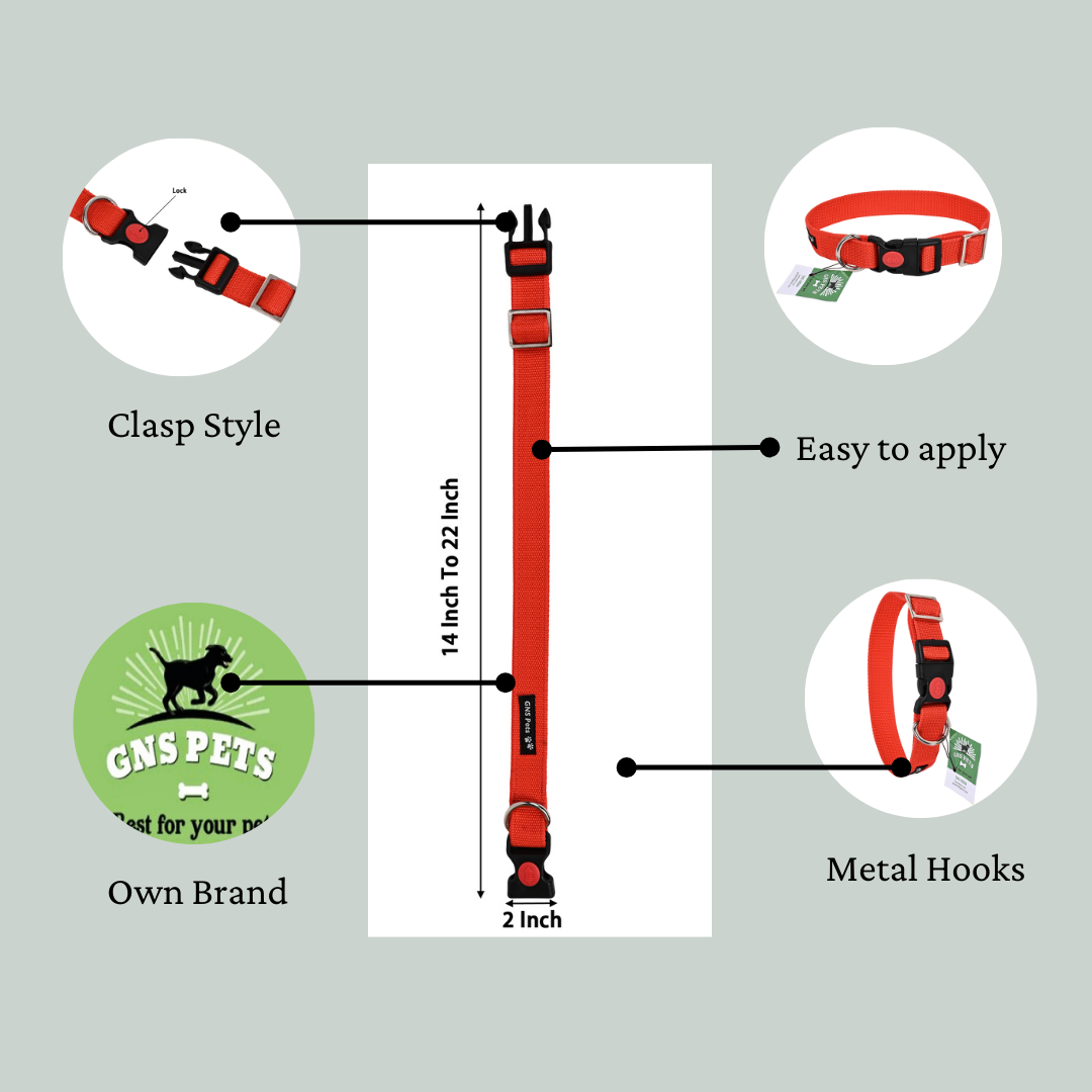Dog Leash & Collar Set - 15FT- Red
