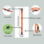 Dog Leash & Collar Set - 15FT- Orange