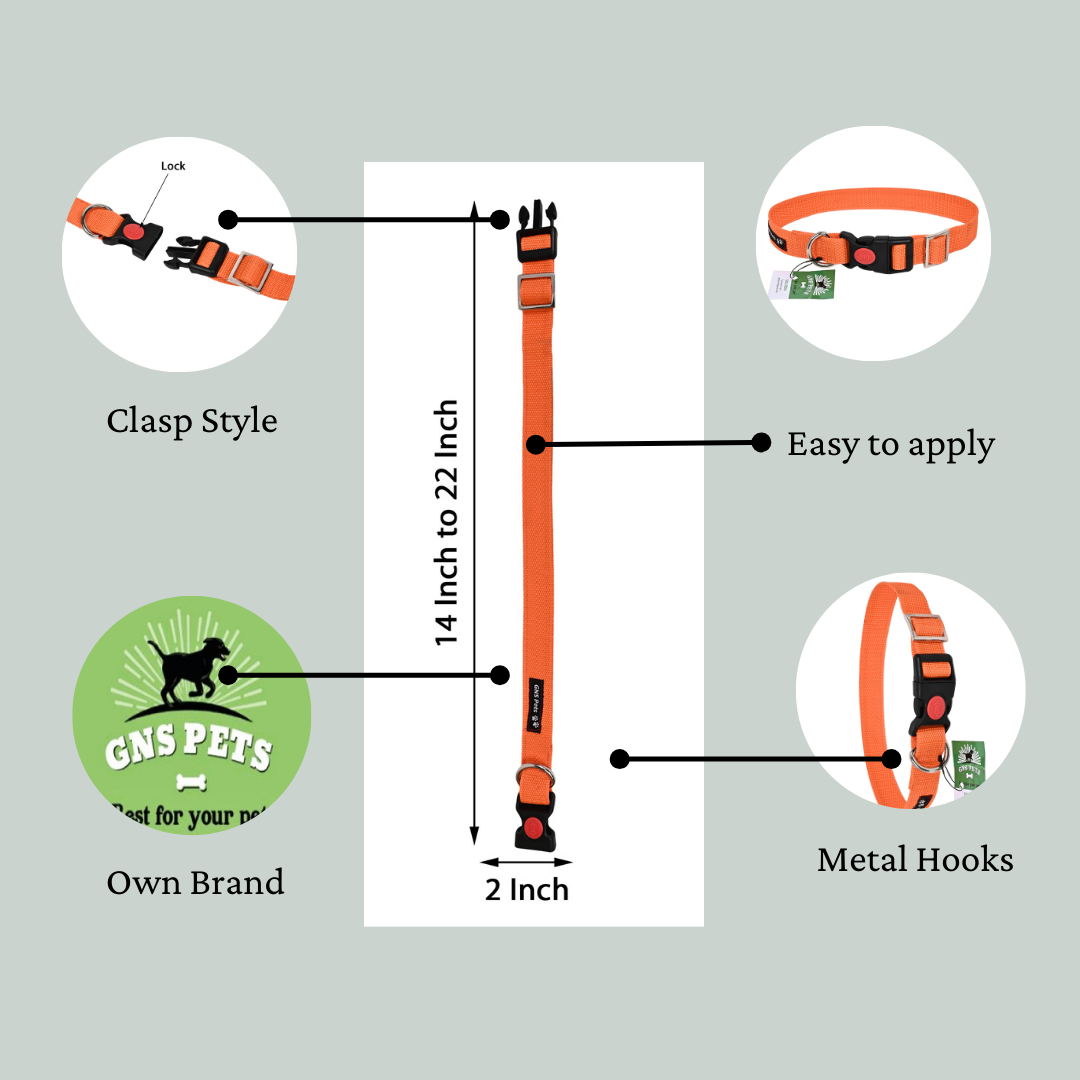 Dog Leash & Collar Set - 15FT- Orange