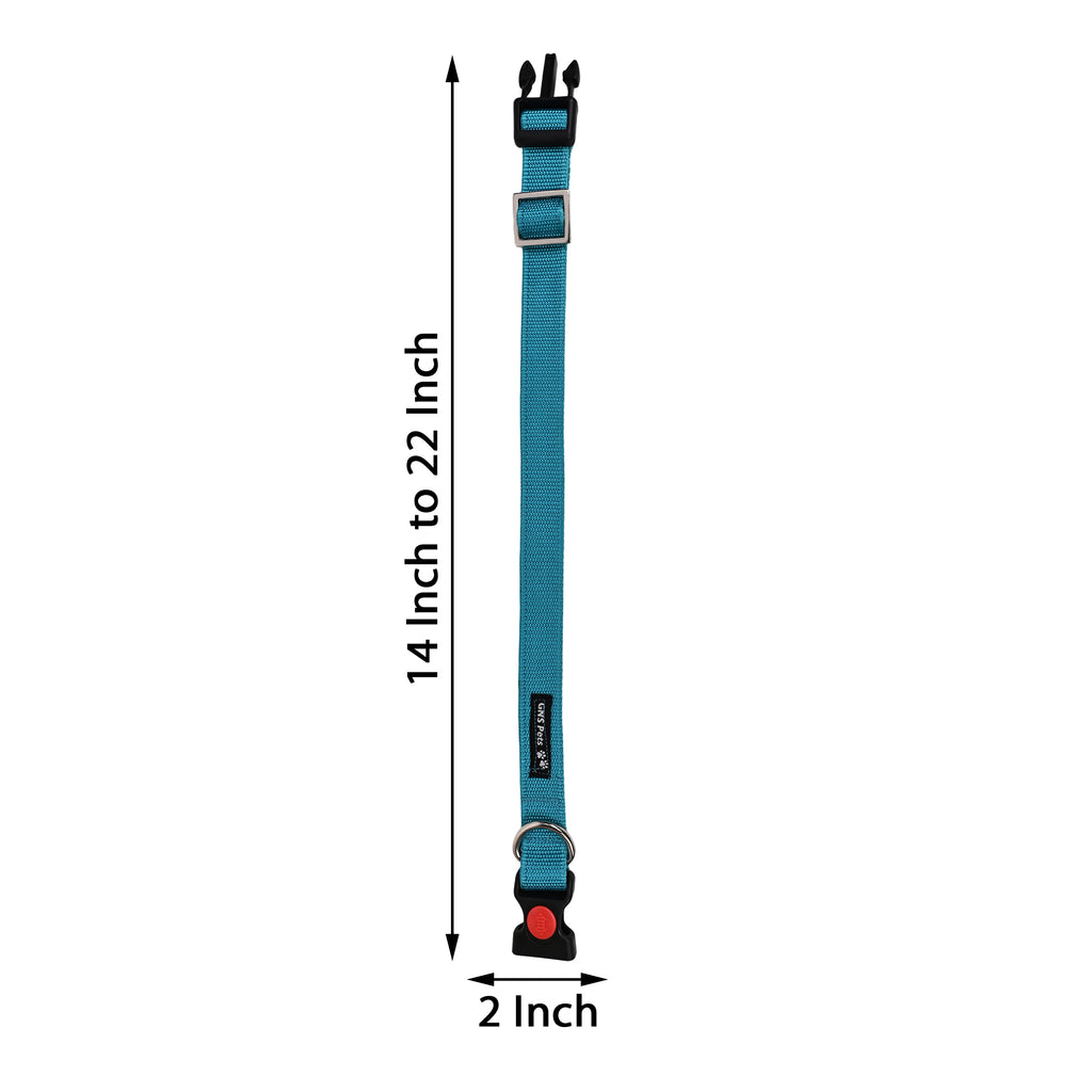 Collars for dog - Turquish blue