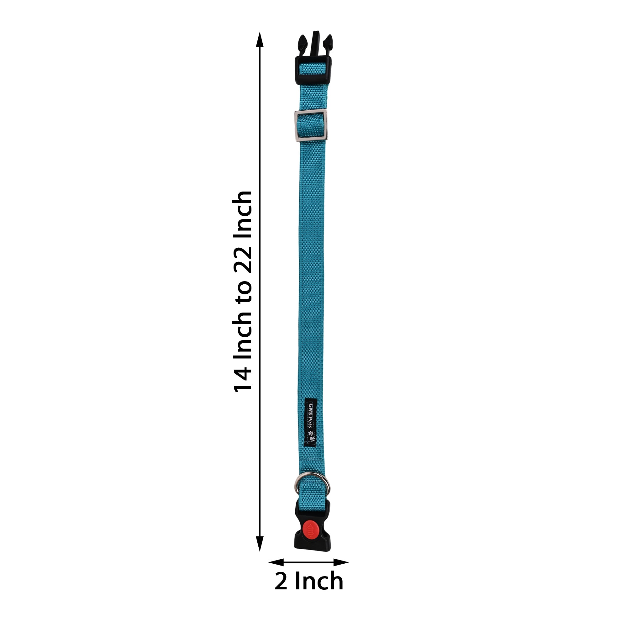 Collars for dog - Turquish blue