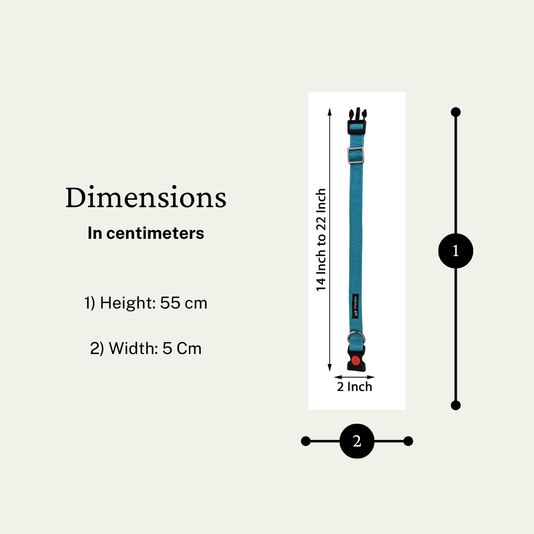 Dog Leash & Collar Set - Turquoise