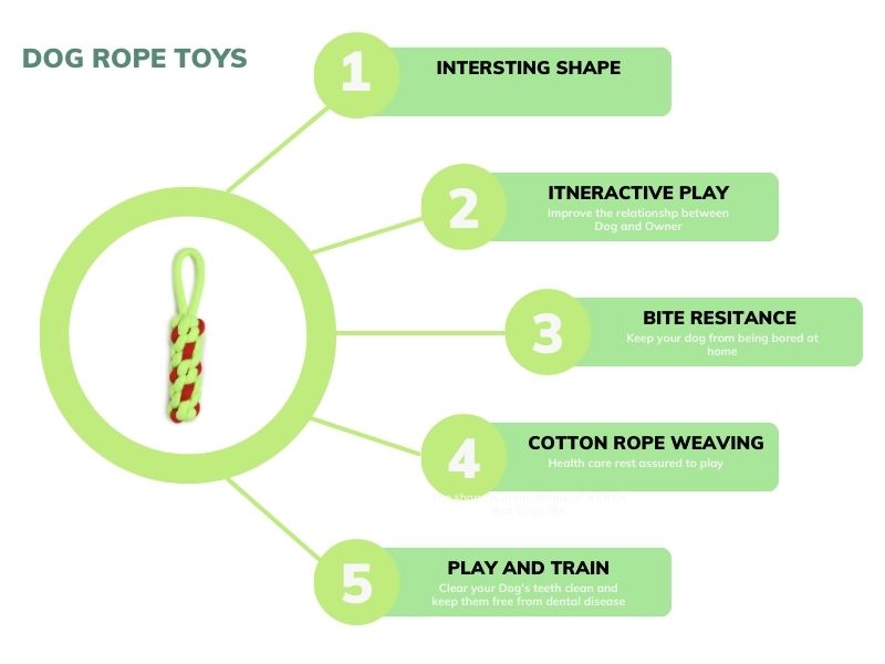 Colorful braided dog rope toy in red and green, loop handle, chew-resistant tug toy for active dogs.