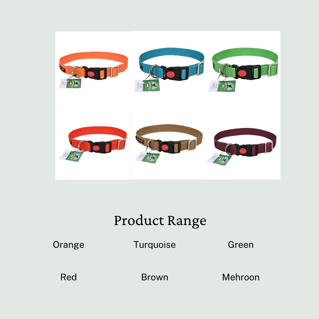 Collars for dog - Black