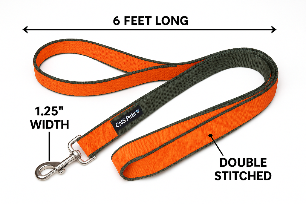 6 Feet Dog Leash - Orange