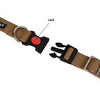 Collars for dog - Brown