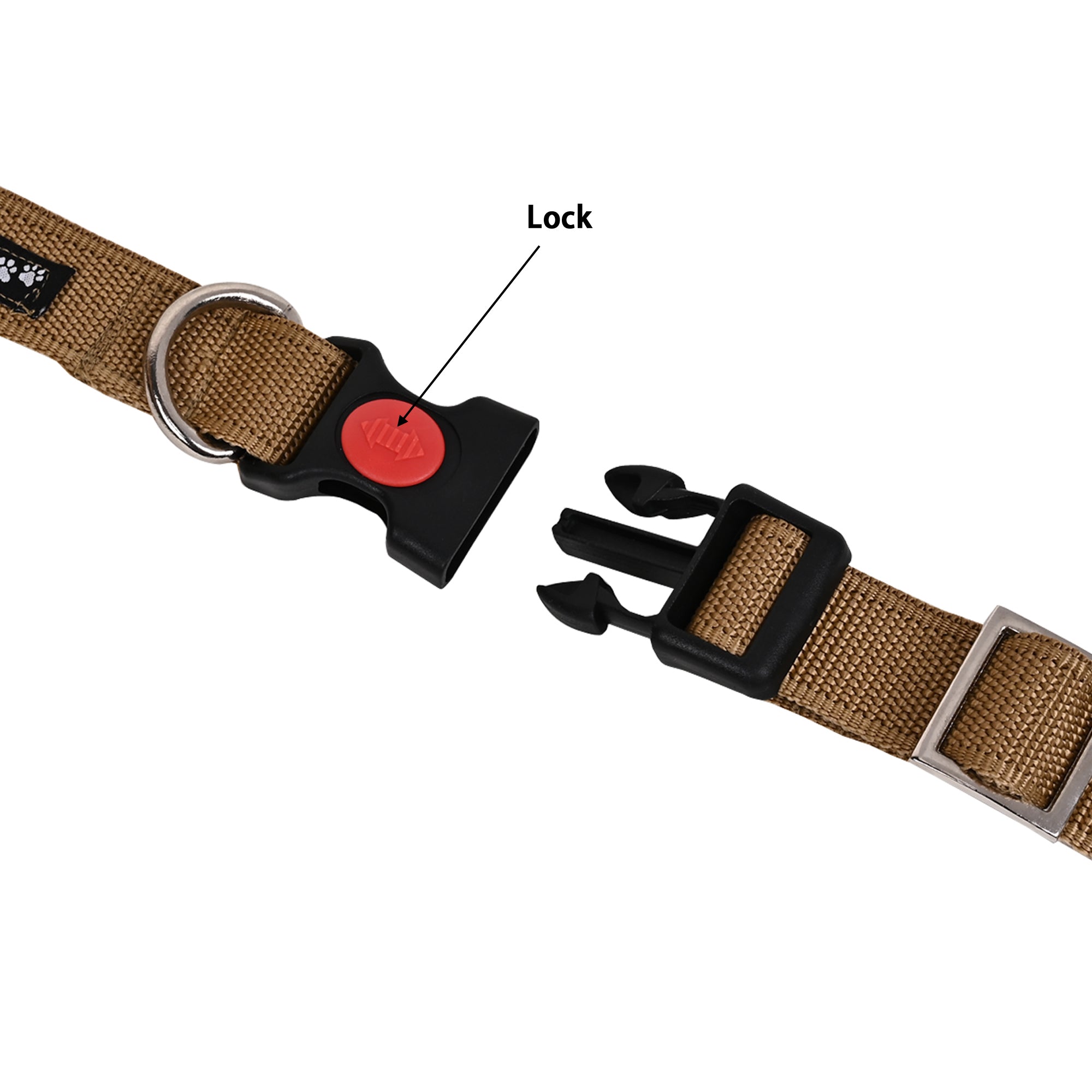 Collars for dog - Brown