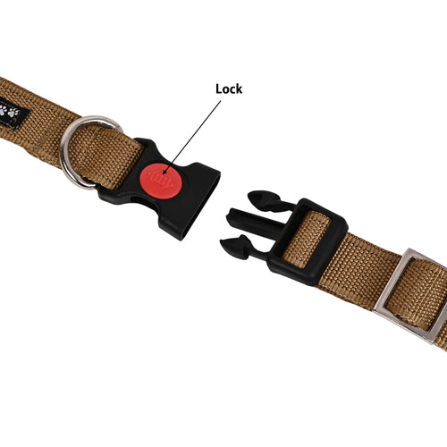 Collars for dog - Brown