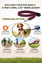 Dog Leash- 5.5 Feet- Mehroon