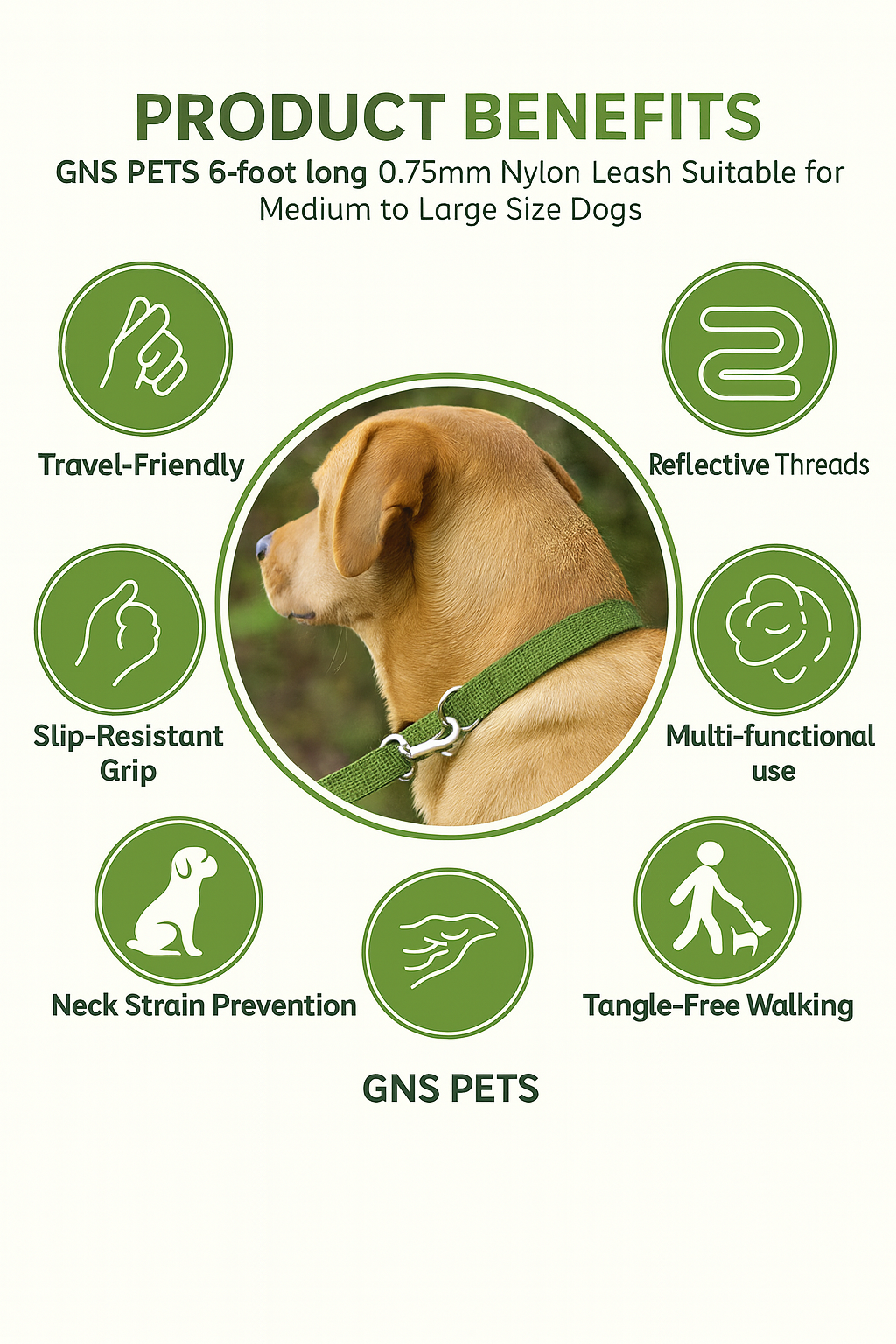 Dog Leash & Collar Set - 6FT- Olive