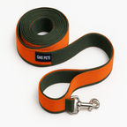 6 Feet Dog Leash - Orange