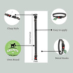 Collars for dog -Grey