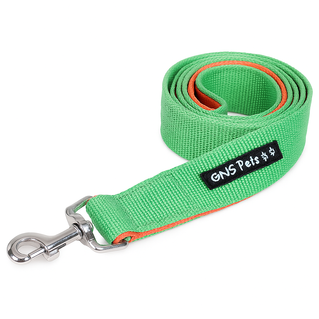 Double webbing Leash- 6 FT Green