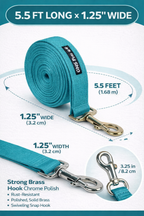 Dog Leash- 5.5 Feet- Turquois Blue