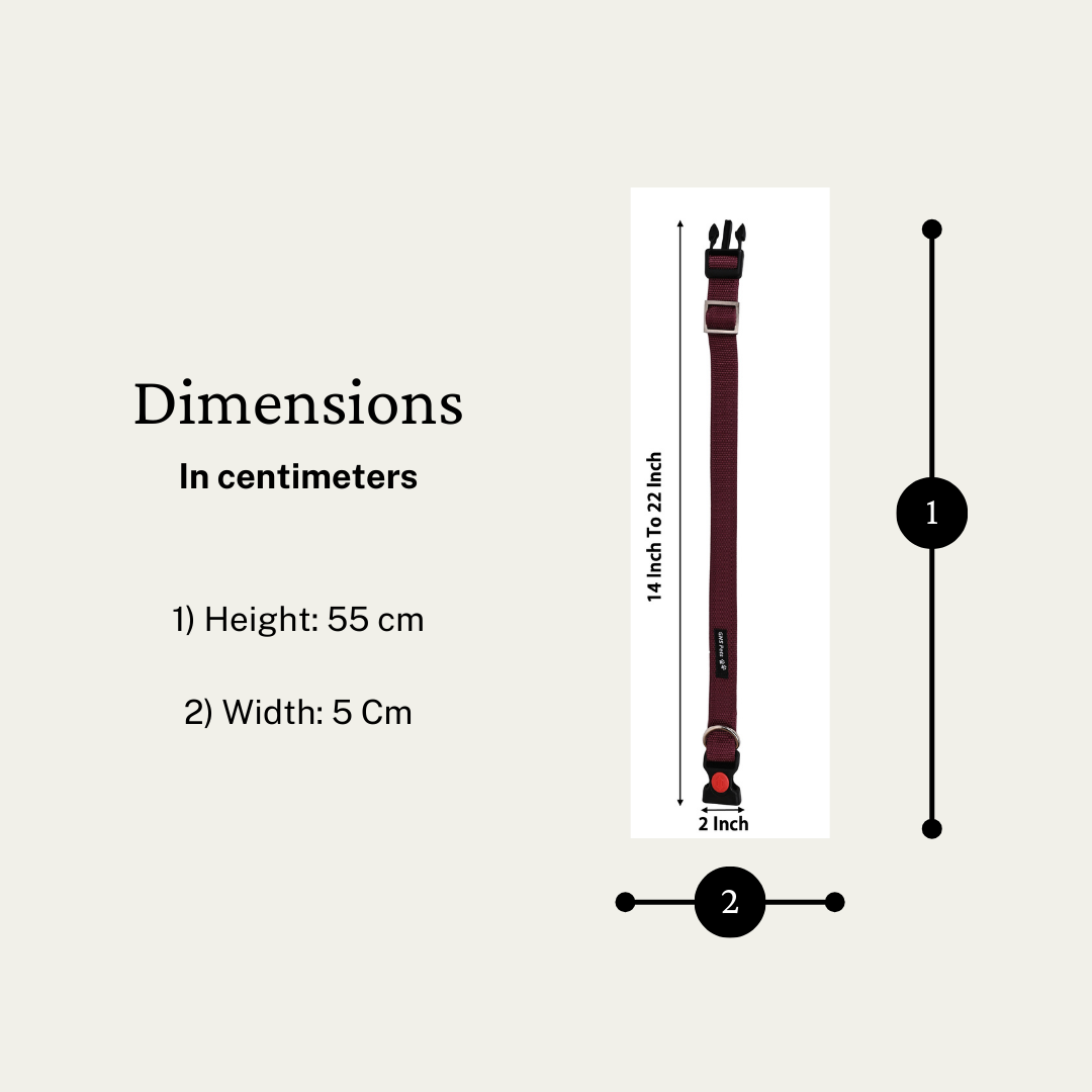Dog Leash & Collar Set - 15FT- Maroon