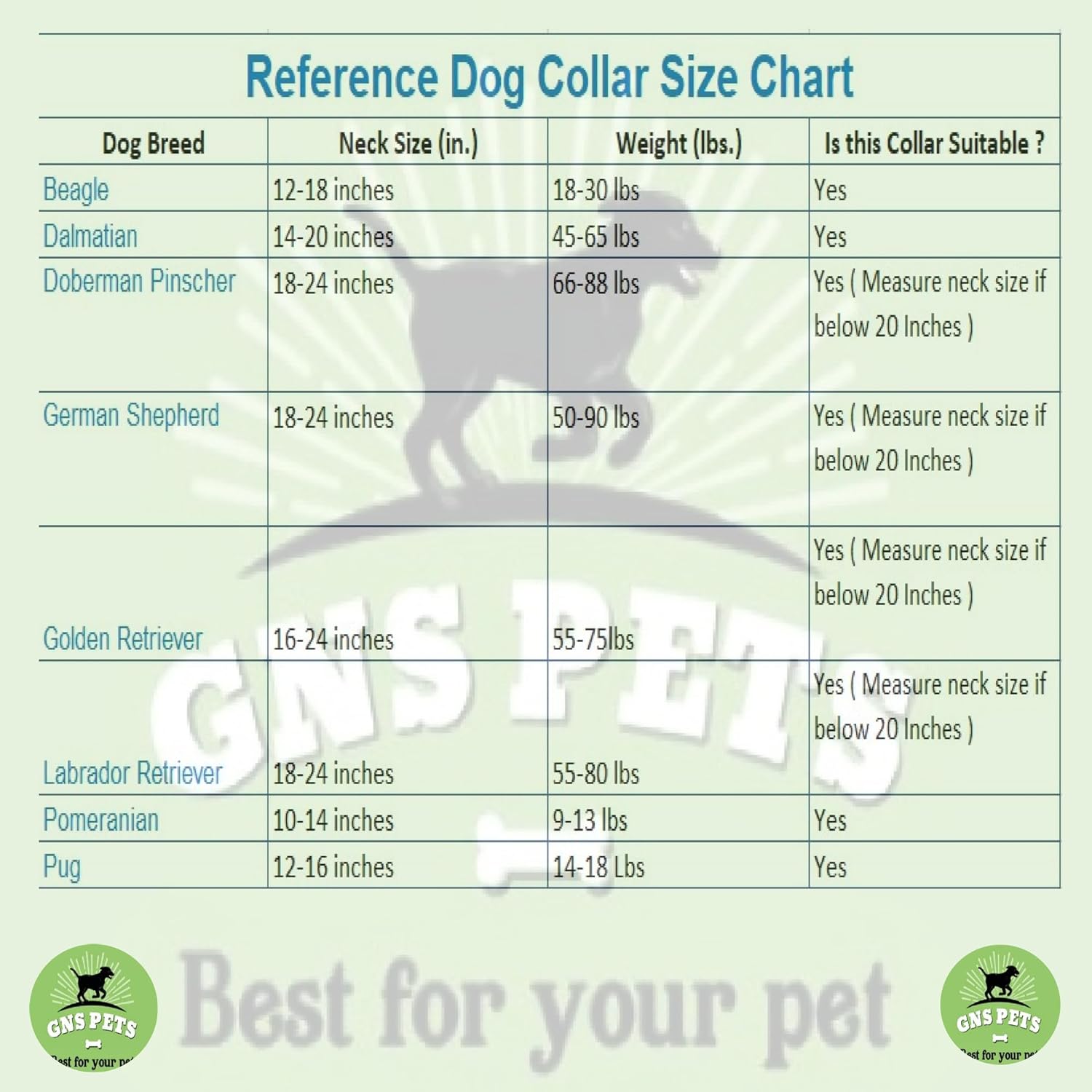 Collars for dog - Black