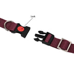 Collars for dog - Maroon