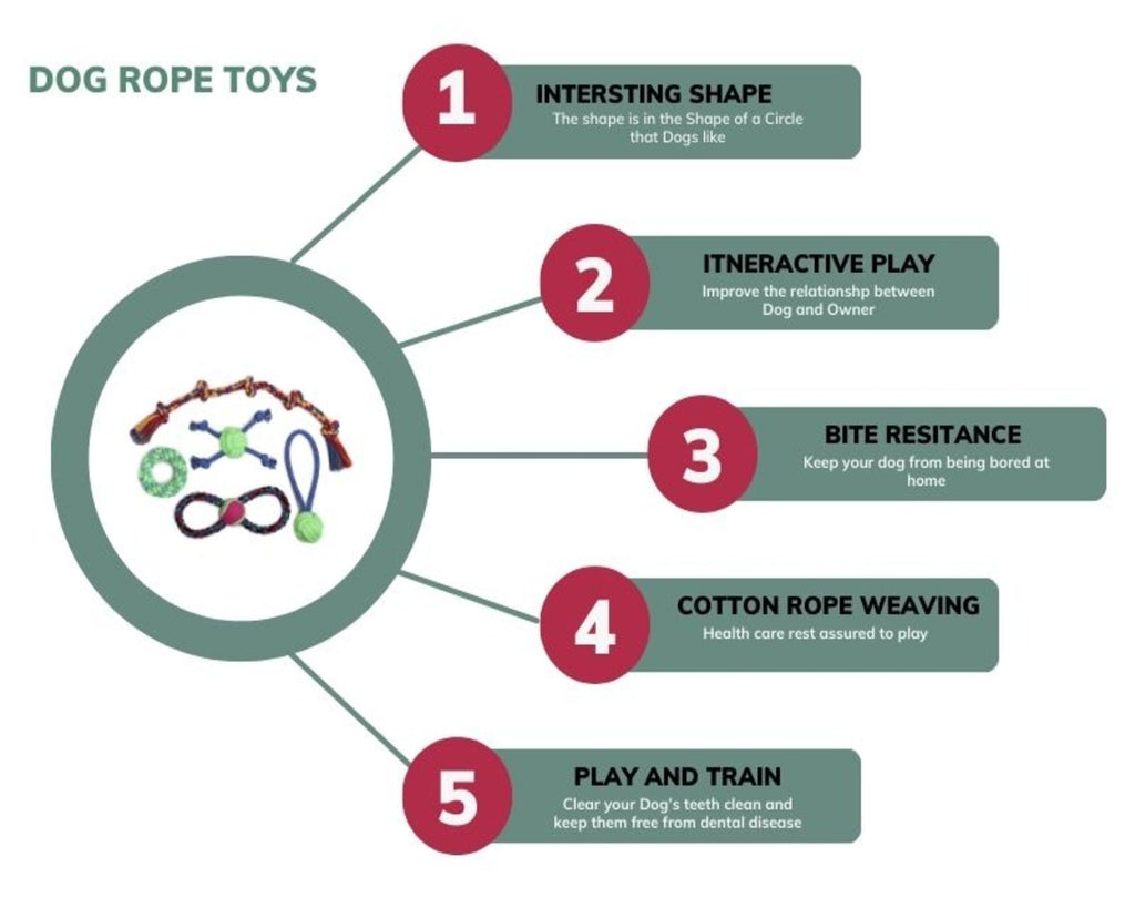 GNS PETs Large Rope Toys Set for Dogs – Durable Chew, Tug & Fetch Play Pack (5 Pieces, Multi-Color)