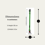 Dog Leash & Collar Set - 15FT- Green