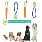 Rope Toy Set- 2 Pcs