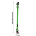 Collars for dog - Green