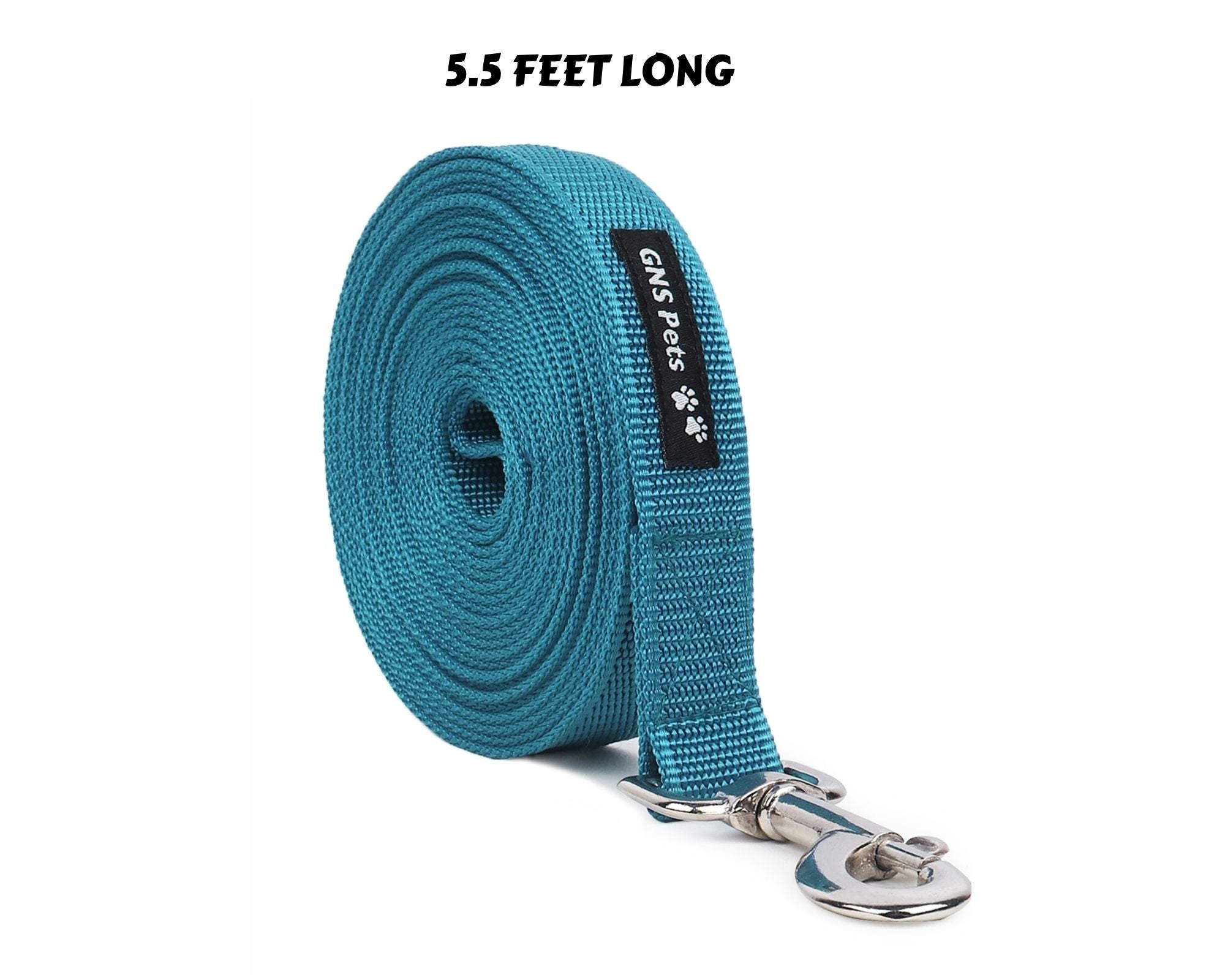 Dog Leash- 5.5 Feet- Turquois Blue