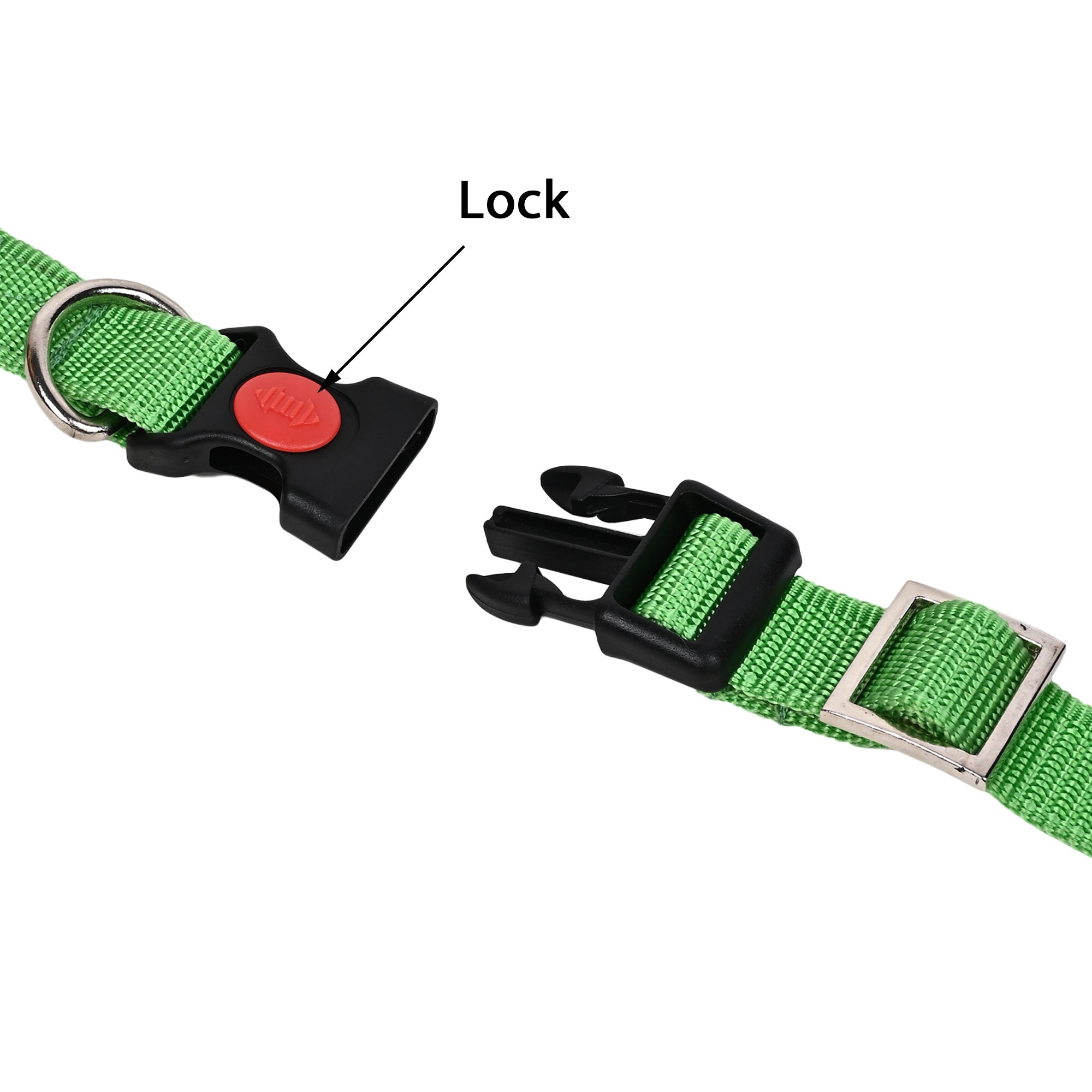 Collars for dog - Green