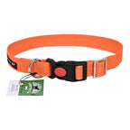 Collars for dog - Orange