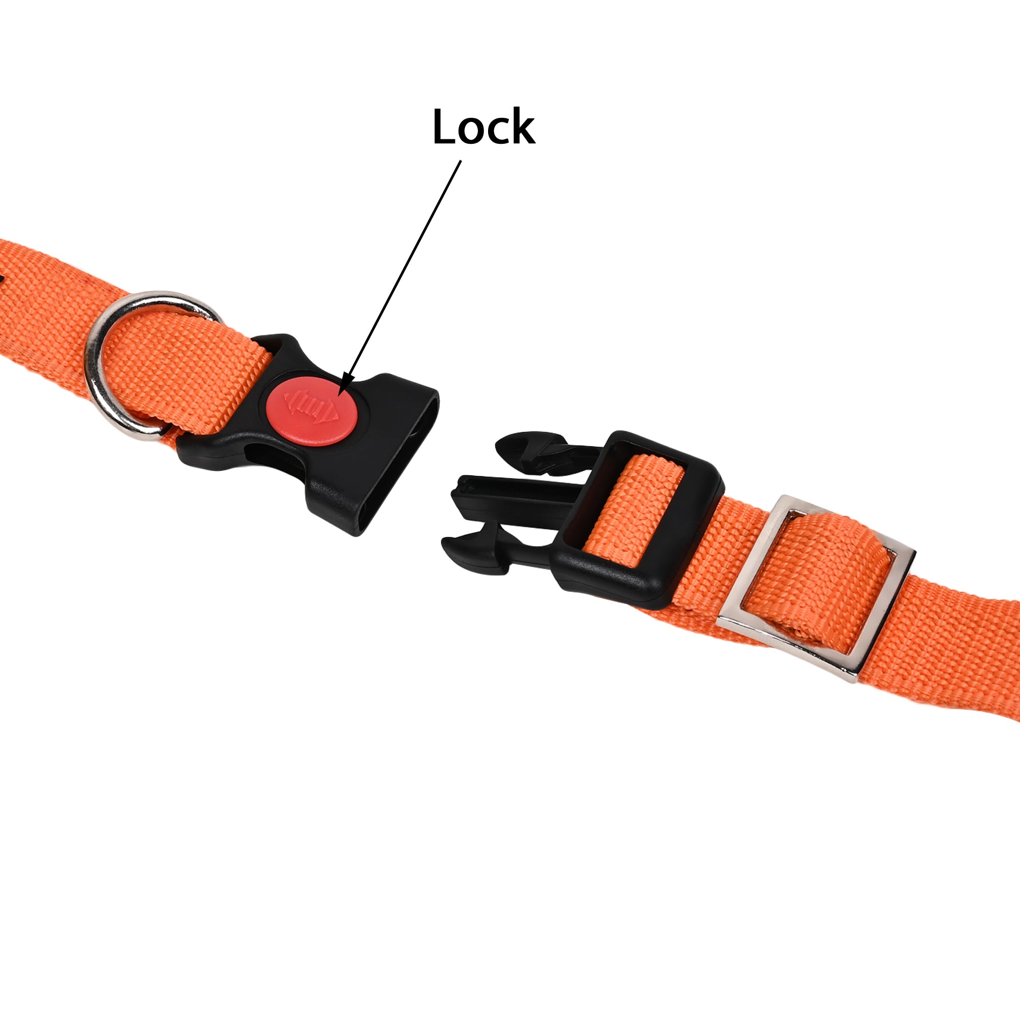Collars for dog - Orange