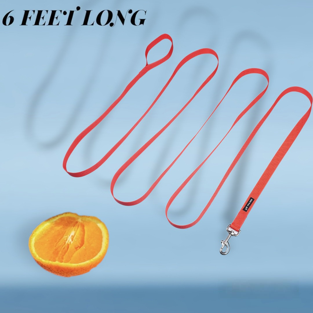 PET Training Leash 15 feet long with strong Hook - 15FT- Red