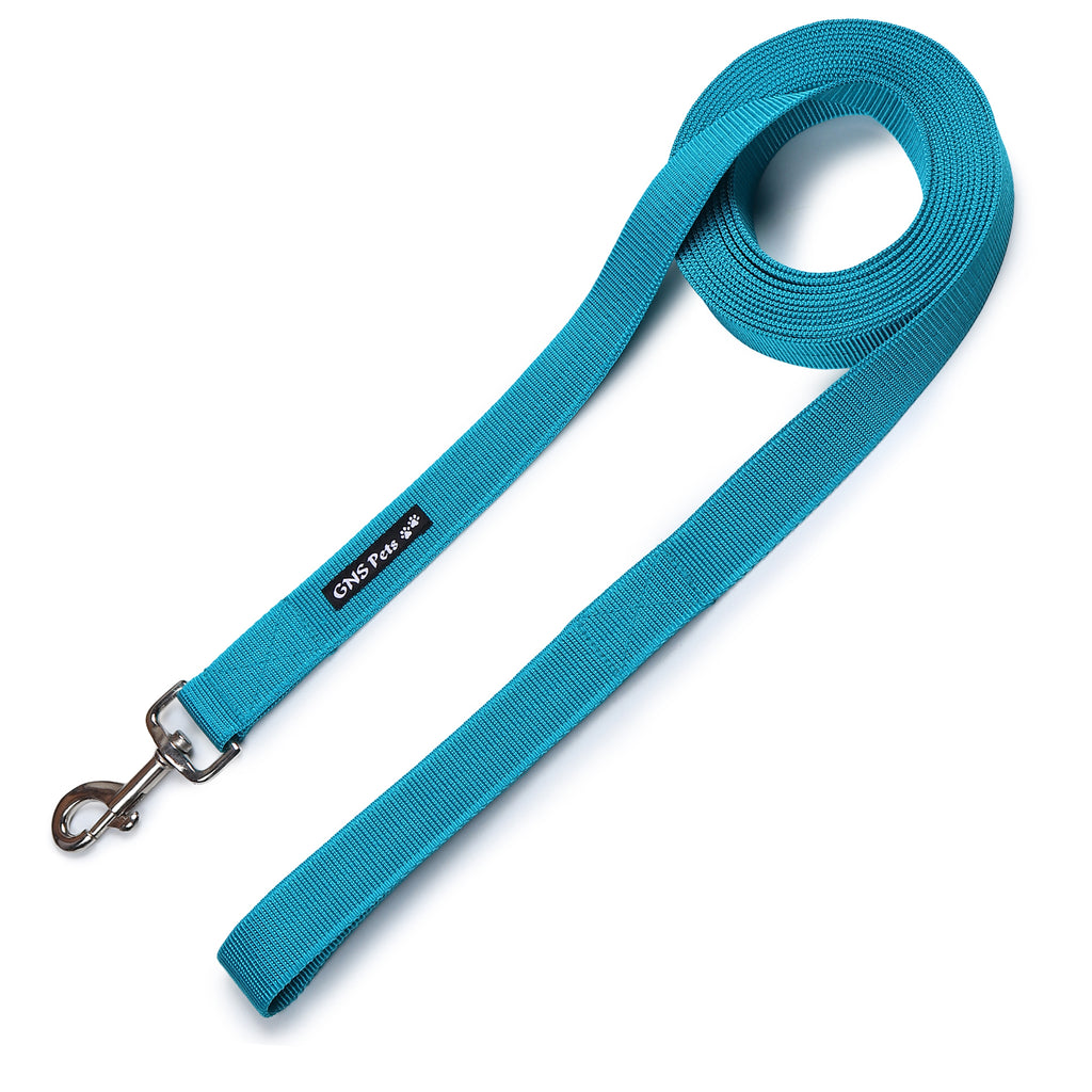 Training Leash 15 feet- Turquoise