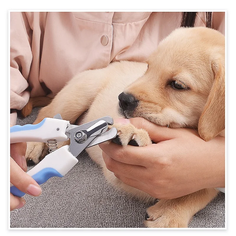 PET Nail  cutter with Folier