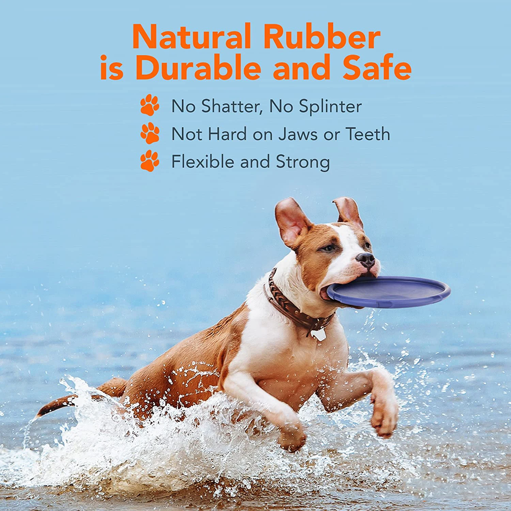 Rubber Frisbee
