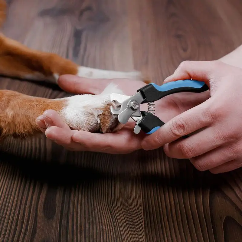 Pet Nail Cutter with Foliar
