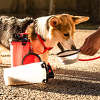 2-in-1 Pet Food & Water Bottle