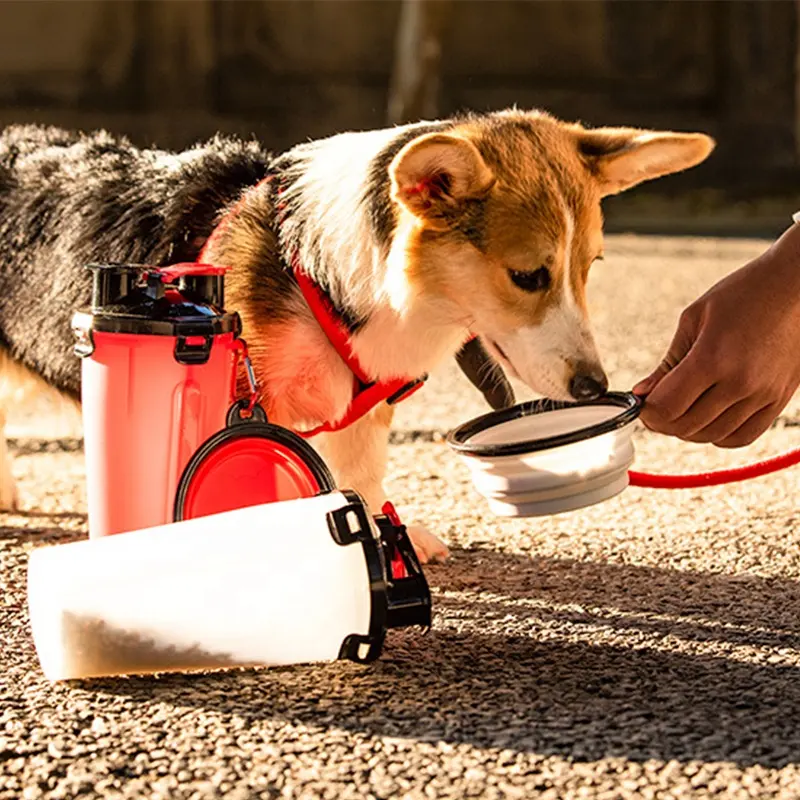 2-in-1 Pet Food & Water Bottle
