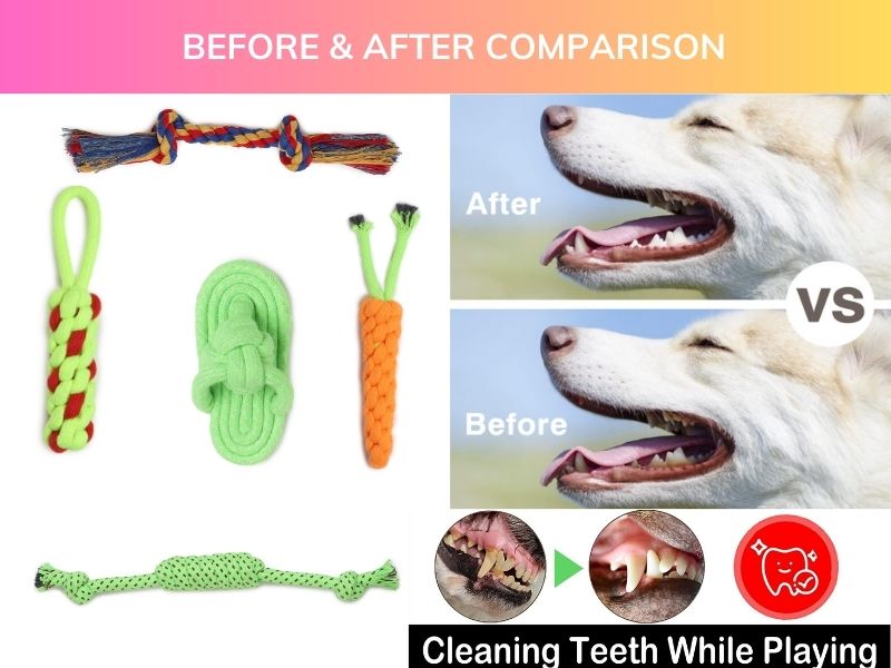 Set of 5 Durable Dog Rope Toys – Chew, Tug, Fetch & Teething Play for Puppies, Small & Medium Dogs | Safe Cotton Pet Toys