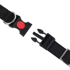 Collars for dog - Black