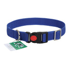 Collars for dog - Blue